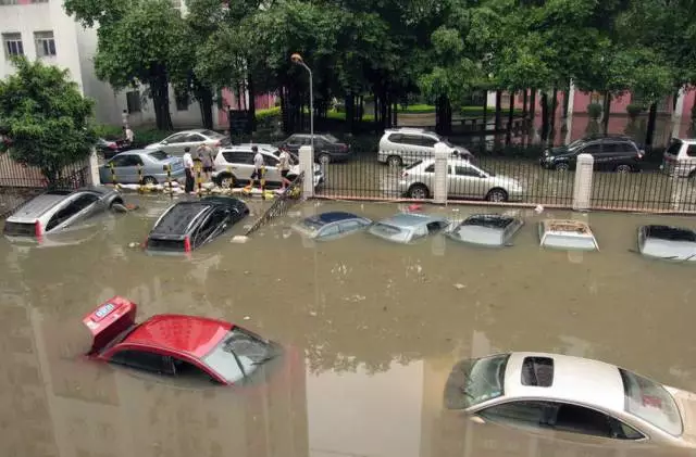 14742474764276493287.png 2.png