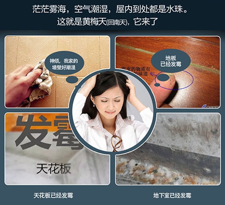 轉(zhuǎn)輪除濕機與一般除濕機相比有何不同?