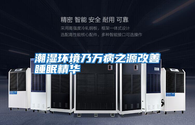 潮濕環境乃萬病之源改善睡眠精華