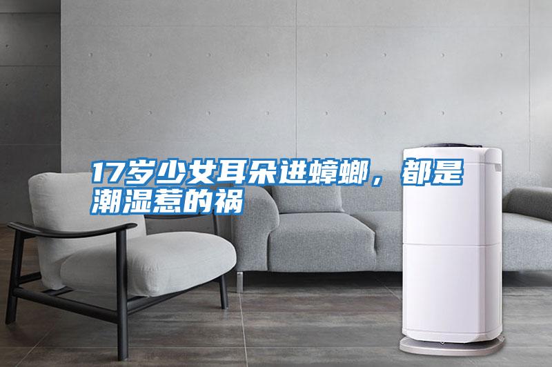17歲少女耳朵進蟑螂,都是潮濕惹的禍