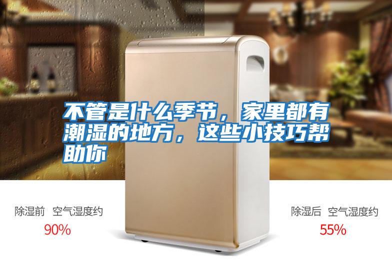 不管是什么季節(jié),家里都有潮濕的地方,這些小技巧幫助你