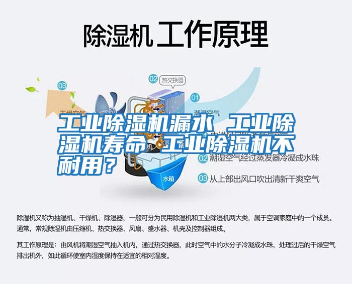 工業除濕機漏水 工業除濕機壽命 工業除濕機不耐用？