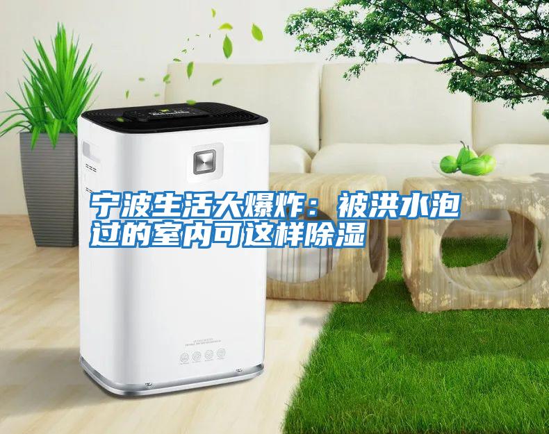 寧波生活大爆炸:被洪水泡過的室內(nèi)可這樣除濕