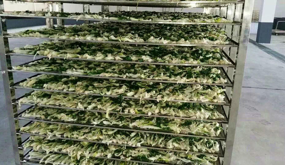 菜干需求一直都很大，蔬菜烘干機(jī)很有市場(chǎng)