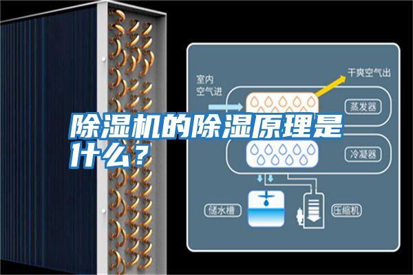 除濕機(jī)的除濕原理是什么?