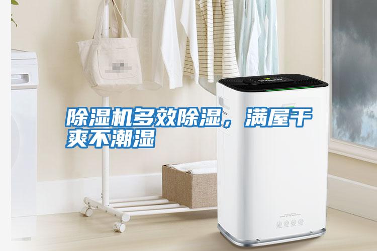 除濕機(jī)多效除濕,滿屋干爽不潮濕