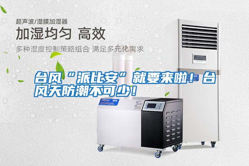 臺風“派比安”就要來啦!臺風天防潮不可少!