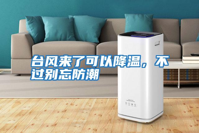 臺風來了可以降溫,不過別忘防潮