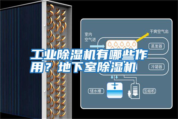 工業除濕機有哪些作用？地下室除濕機