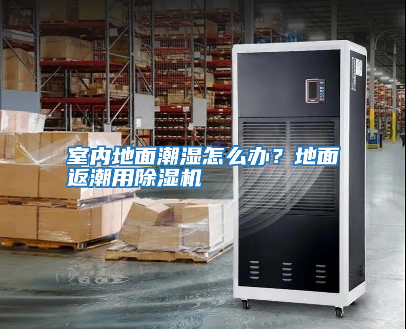 室內(nèi)地面潮濕怎么辦?地面返潮用除濕機