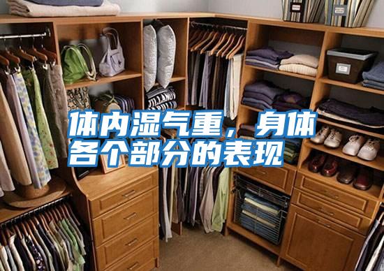 體內濕氣重,身體各個部分的表現