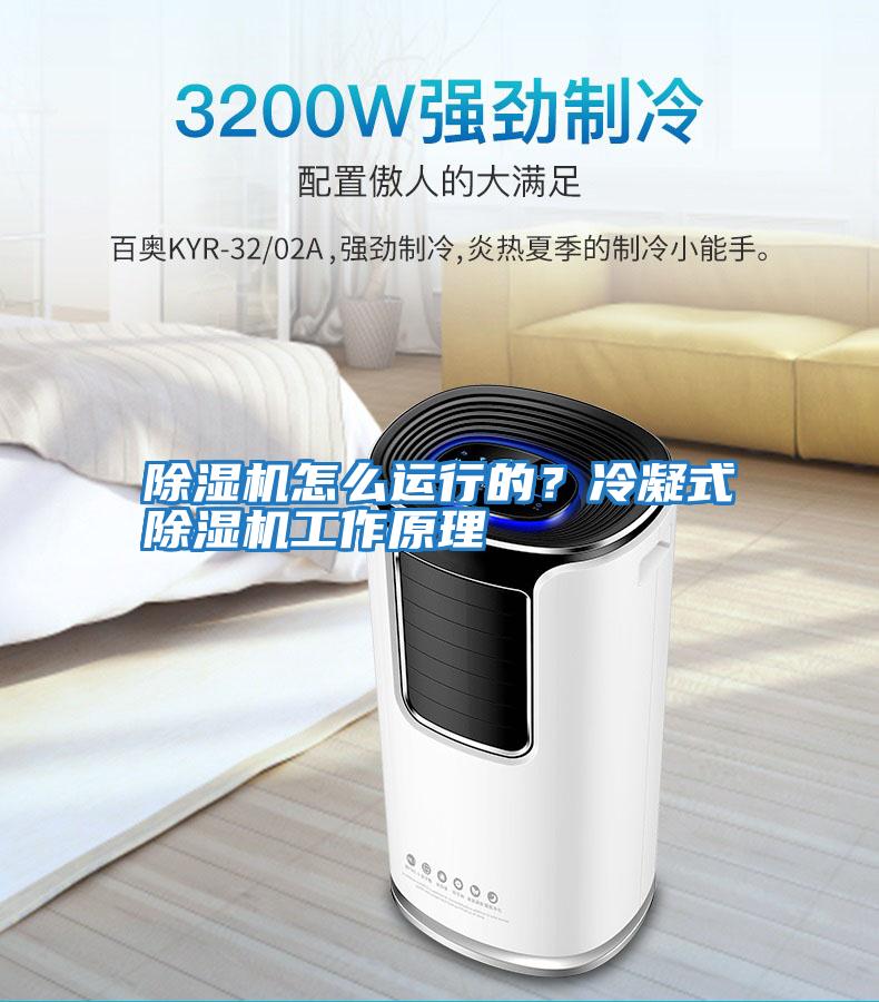除濕機怎么運行的？冷凝式除濕機工作原理