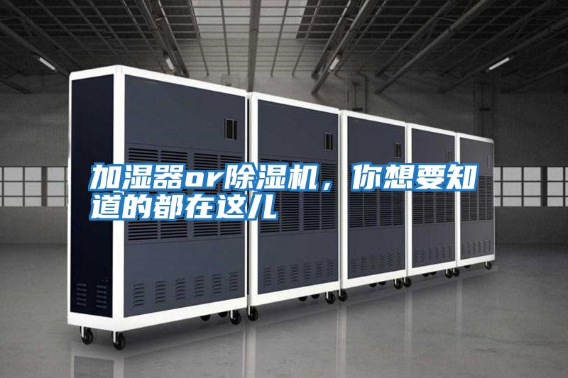 加濕器or除濕機,你想要知道的都在這兒