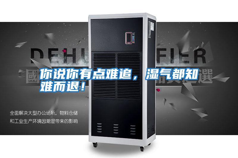 你說(shuō)你有點(diǎn)難追，濕氣都知難而退！