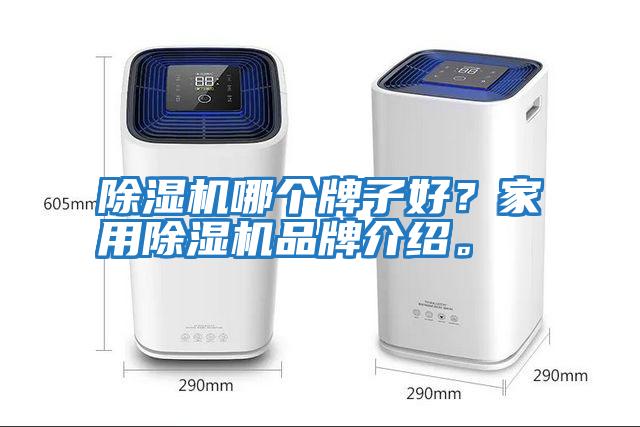 除濕機哪個牌子好？家用除濕機品牌介紹。