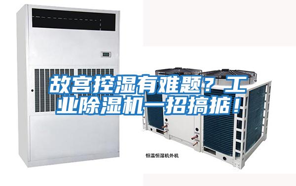 故宮控濕有難題？工業除濕機一招搞掂！