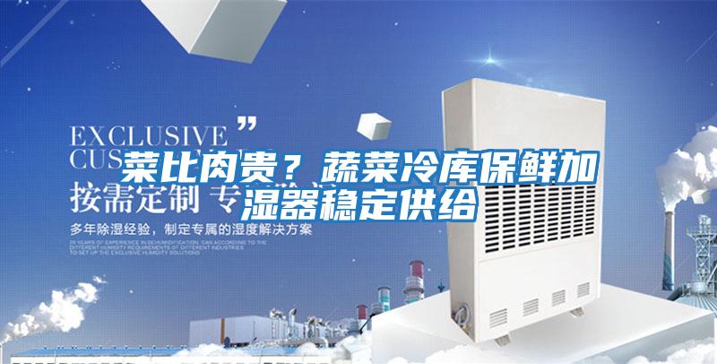 菜比肉貴?蔬菜冷庫保鮮加濕器穩定供給