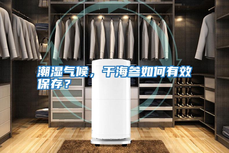 潮濕氣候，干海參如何有效保存？