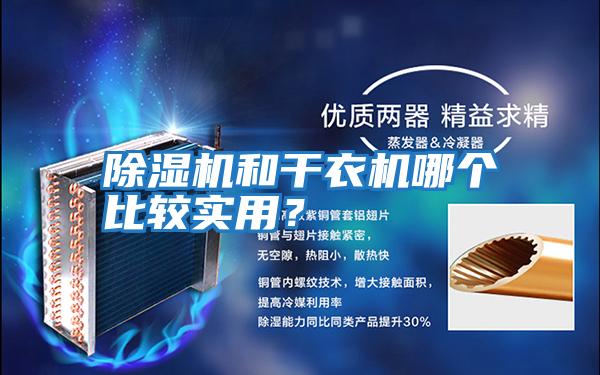 除濕機和干衣機哪個比較實用？