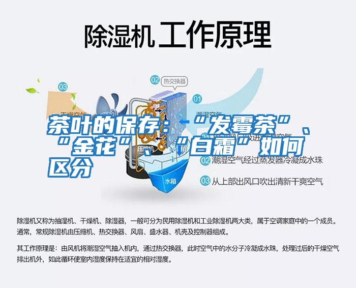 茶葉的保存:“發(fā)霉茶”、“金花”、“白霜”如何區(qū)分