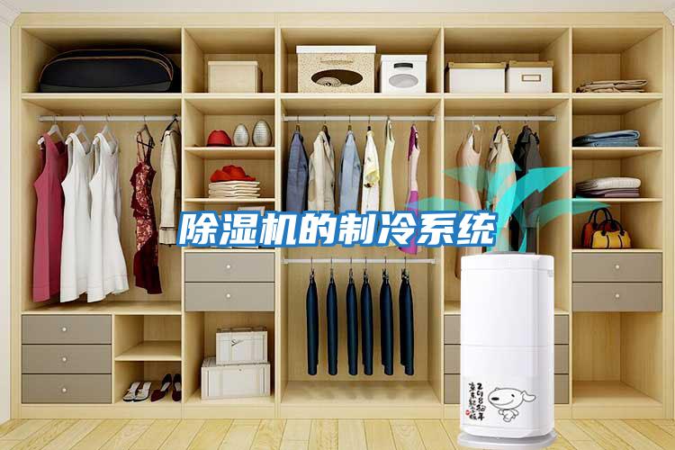 除濕機的制冷系統