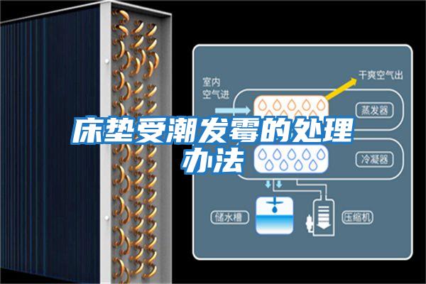 床墊受潮發霉的處理辦法