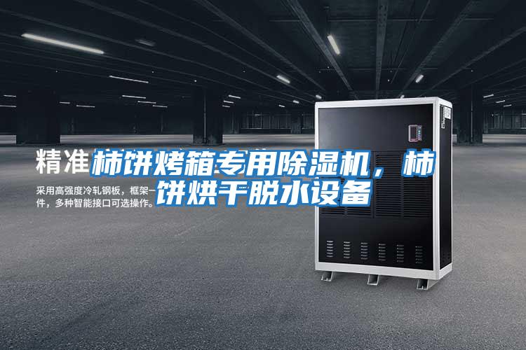 柿餅烤箱專用除濕機，柿餅烘干脫水設備