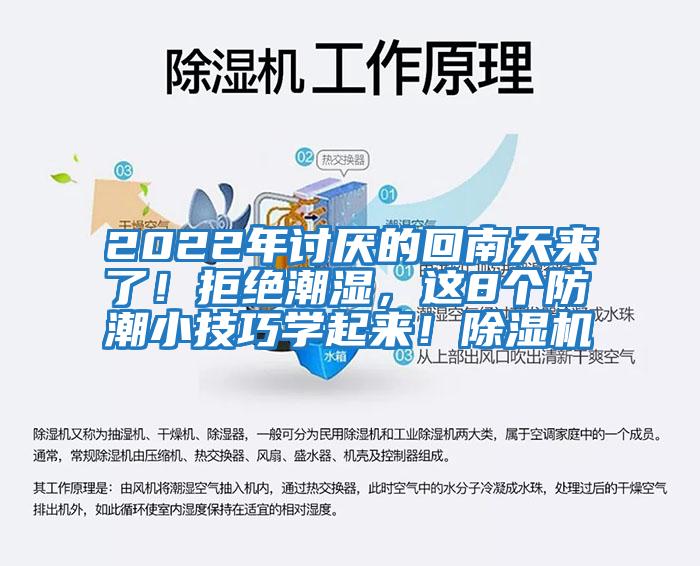 2022年討厭的回南天來了!拒絕潮濕,這8個防潮小技巧學起來!除濕機