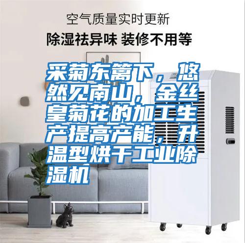 采菊東籬下,悠然見南山,金絲皇菊花的加工生產(chǎn)提高產(chǎn)能,升溫型烘干工業(yè)除濕機(jī)