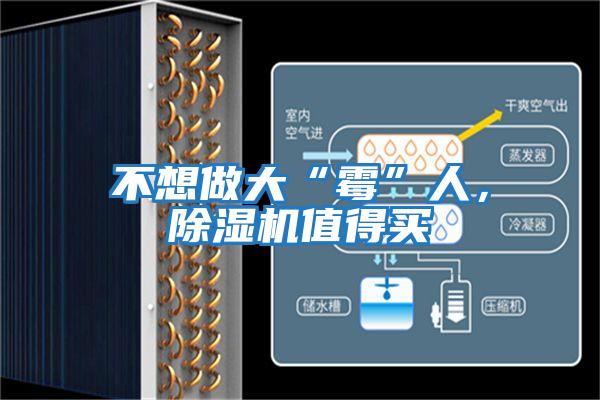 不想做大“霉”人，除濕機值得買