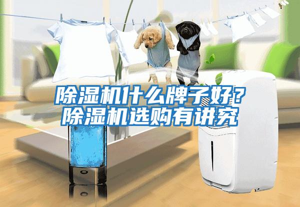 除濕機什么牌子好?除濕機選購有講究
