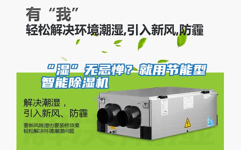“濕”無忌憚?就用節能型智能除濕機