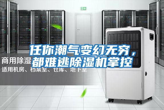 任你潮氣變幻無窮,都難逃除濕機掌控