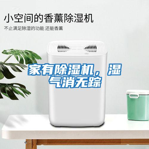 家有除濕機,濕氣消無蹤