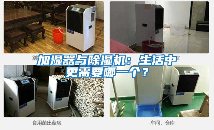 加濕器與除濕機:生活中更需要哪一個?