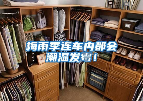 梅雨季連車內(nèi)都會(huì)潮濕發(fā)霉！