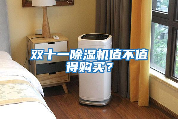 雙十一除濕機值不值得購買？