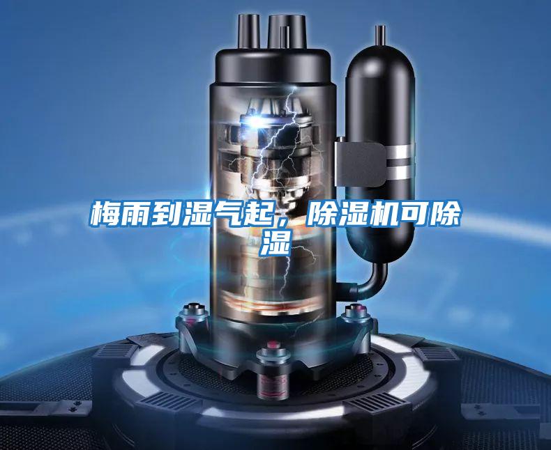 梅雨到濕氣起，除濕機可除濕