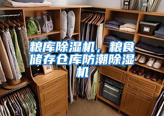糧庫除濕機(jī),糧食儲存?zhèn)}庫防潮除濕機(jī)