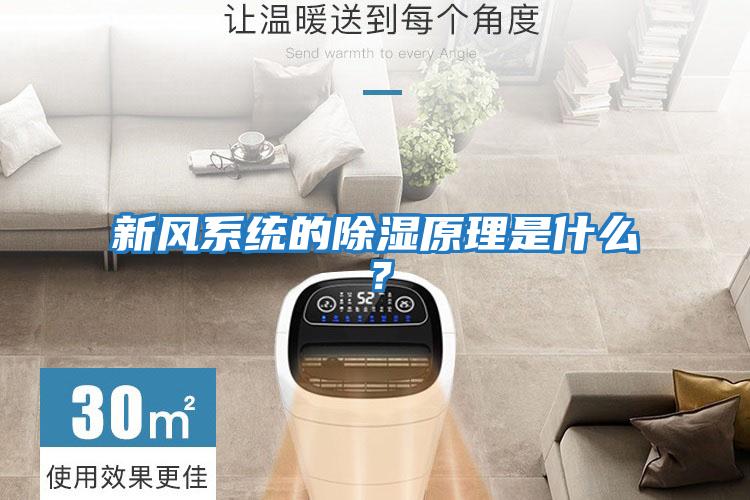 新風系統(tǒng)的除濕原理是什么?