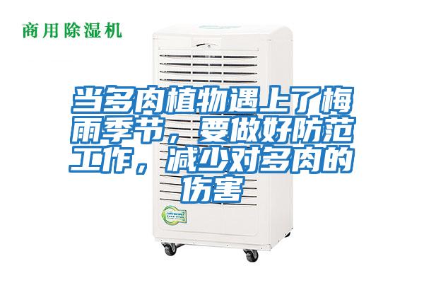 當多肉植物遇上了梅雨季節,要做好防范工作,減少對多肉的傷害