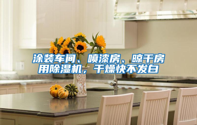 涂裝車間、噴漆房、晾干房用除濕機(jī)，干燥快不發(fā)白