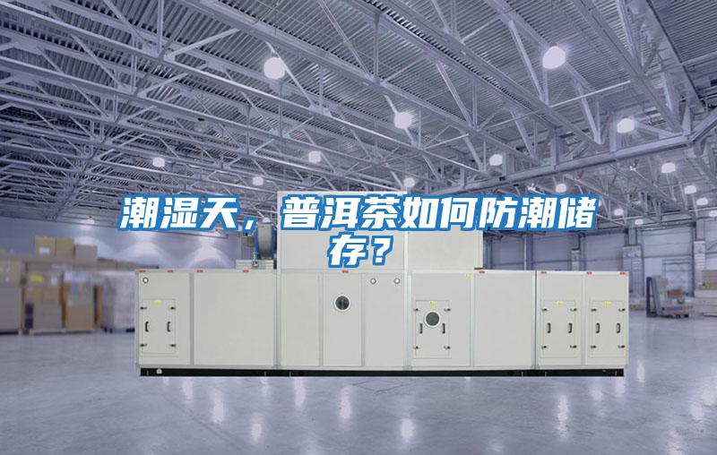 潮濕天,普洱茶如何防潮儲(chǔ)存?