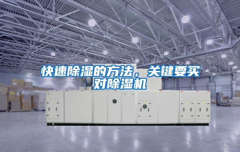 快速除濕的方法，關鍵要買對除濕機