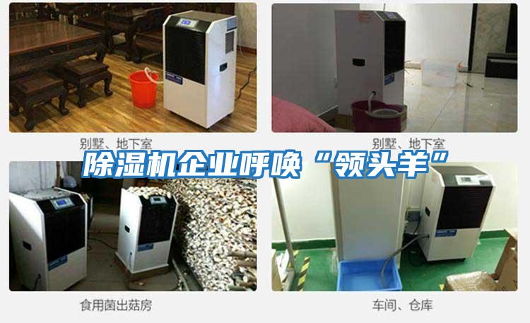 除濕機企業呼喚“領頭羊”