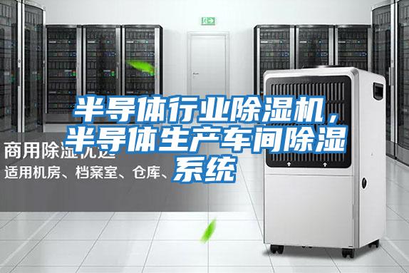 半導(dǎo)體行業(yè)除濕機,半導(dǎo)體生產(chǎn)車間除濕系統(tǒng)