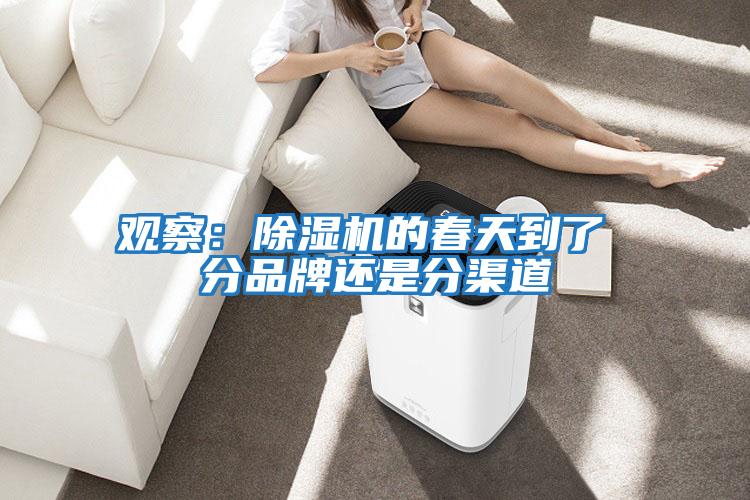 觀察：除濕機的春天到了 分品牌還是分渠道