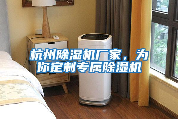 杭州除濕機廠家,為你定制專屬除濕機