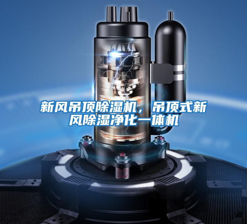 新風吊頂除濕機，吊頂式新風除濕凈化一體機