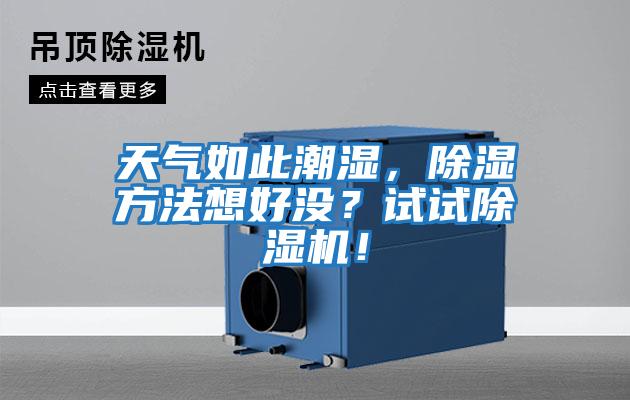 天氣如此潮濕，除濕方法想好沒？試試除濕機！